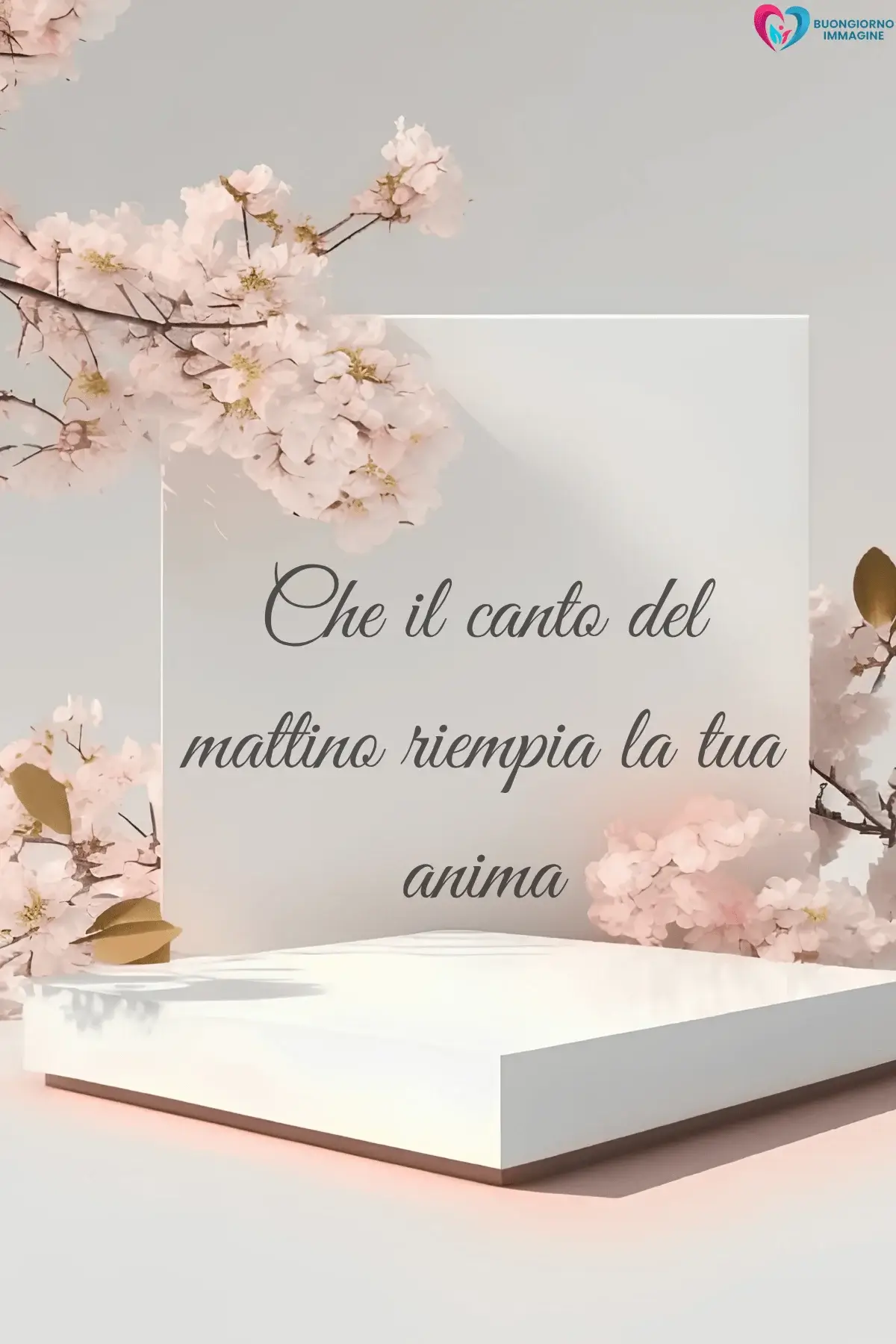 buongiorno frasi positive motivazionali con finestra aperta e luce calda