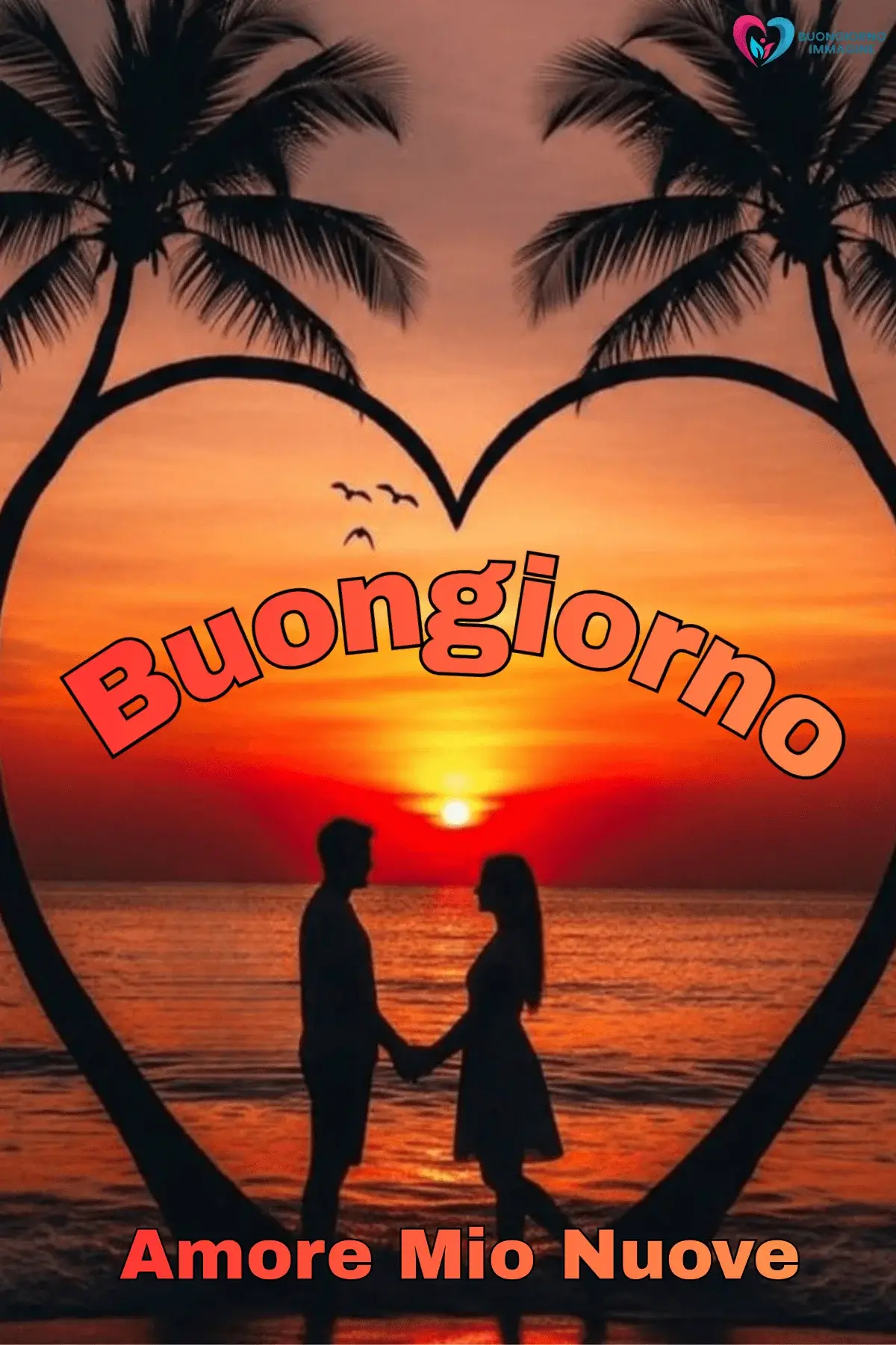Immagini buongiorno tramonto tra palme