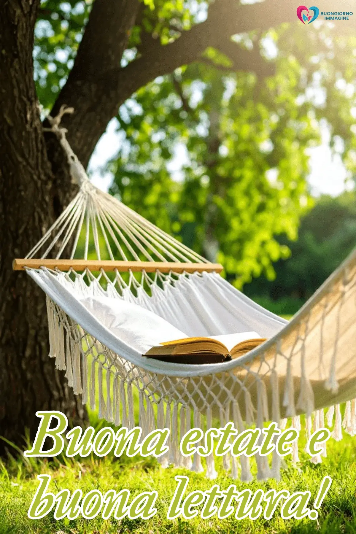 immagini buongiorno estate amaca libro albero luce verde solare