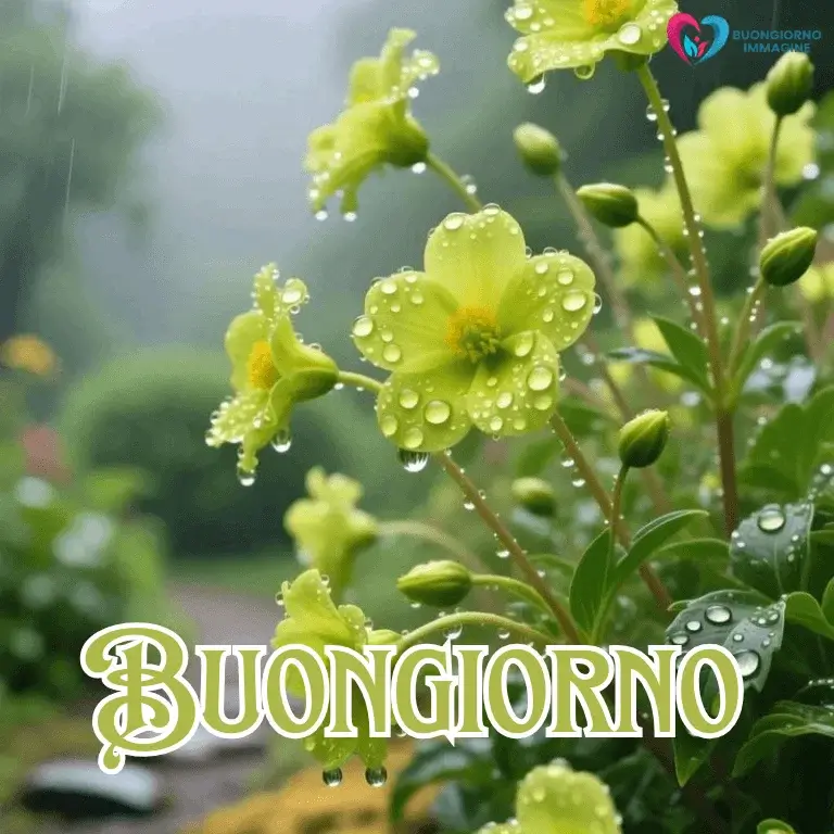 buongiorno gratis per whatsapp con sorriso mattutino