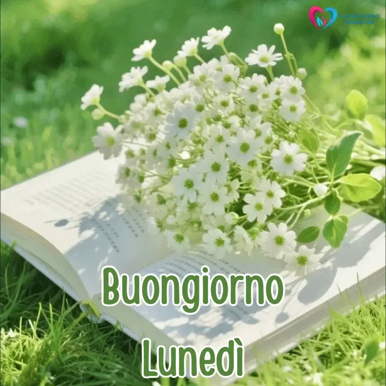 buon giorno immagini nuove con sorriso mattutino