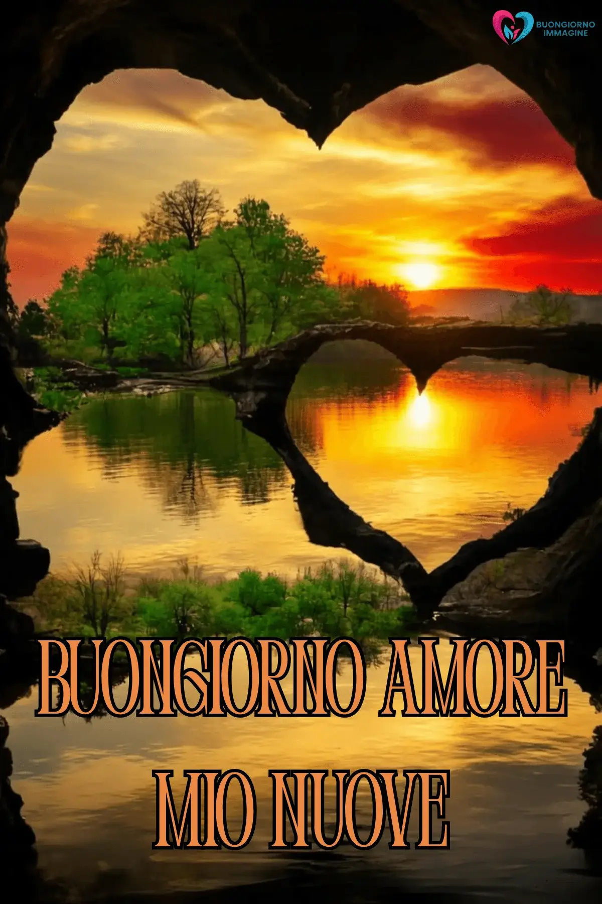 Immagini buongiorno fiori rosa tramonto