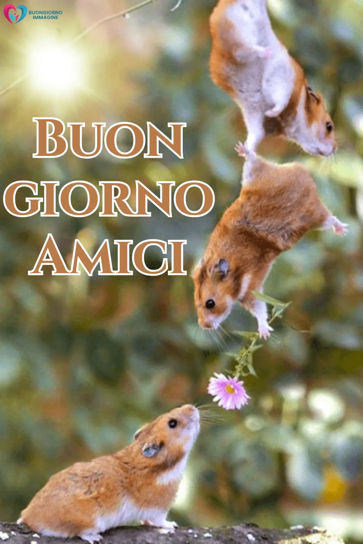 buongiorno amici affettuosi con sorriso mattutino