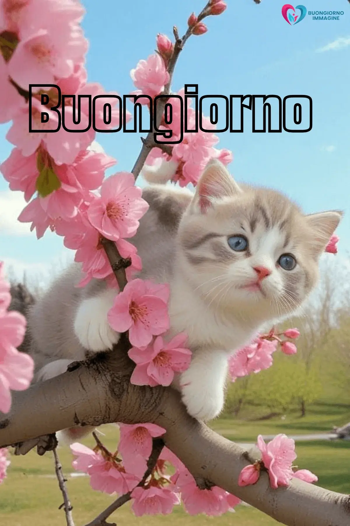 Immagini buongiorno con cucciolo tra fiori