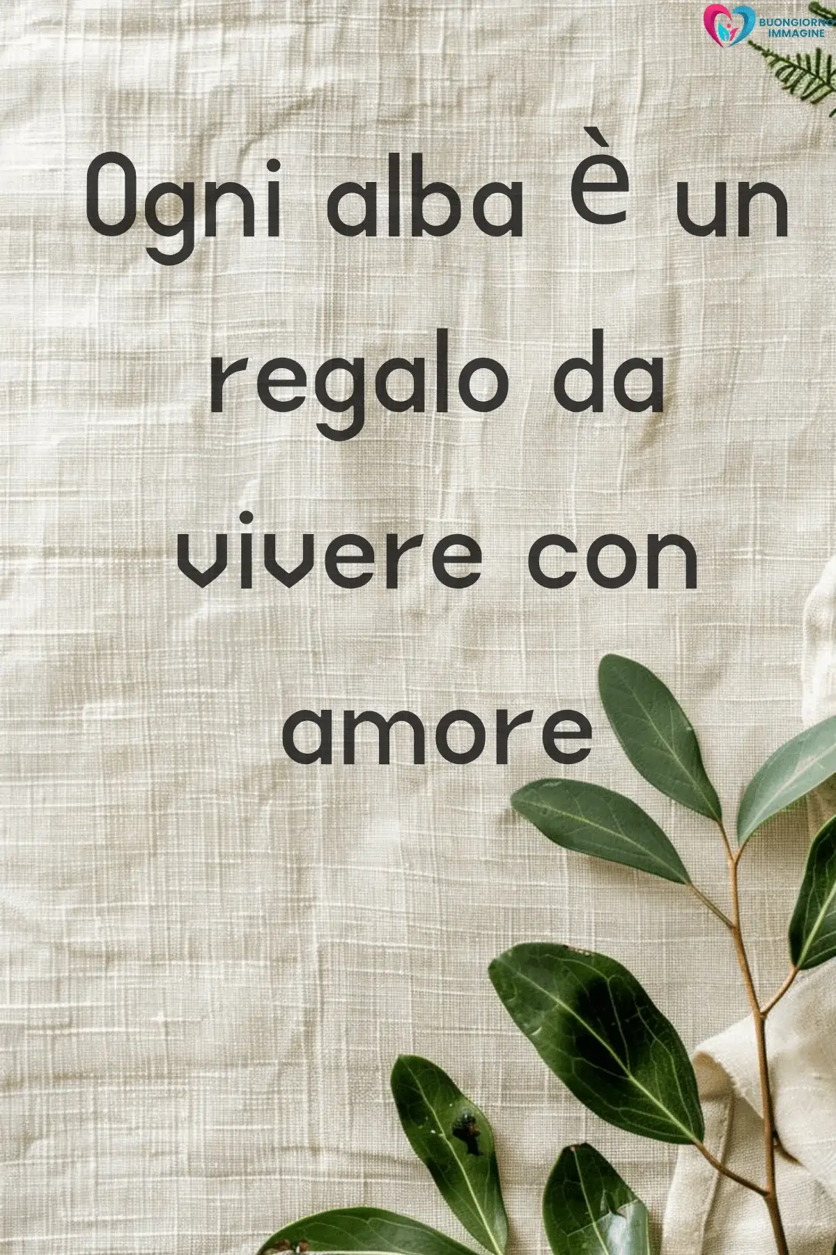 buongiorno frasi buongiorno bellissime con bouquet di rose fresche