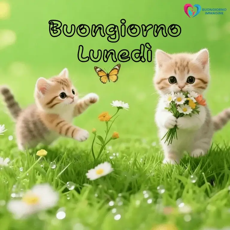 buon giorno immagini nuove con sorriso mattutino