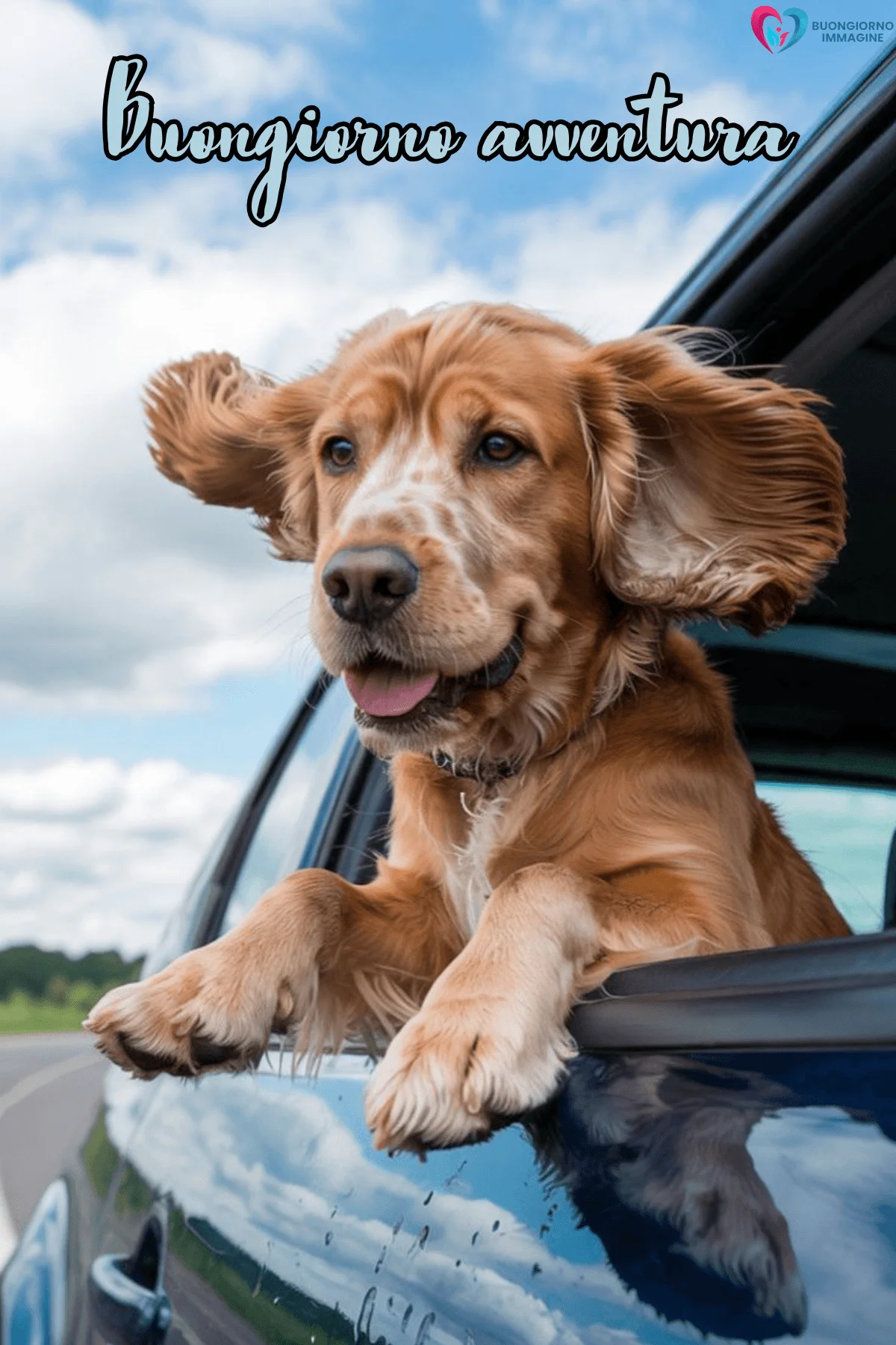 Buongiorno con cane che viaggia in auto