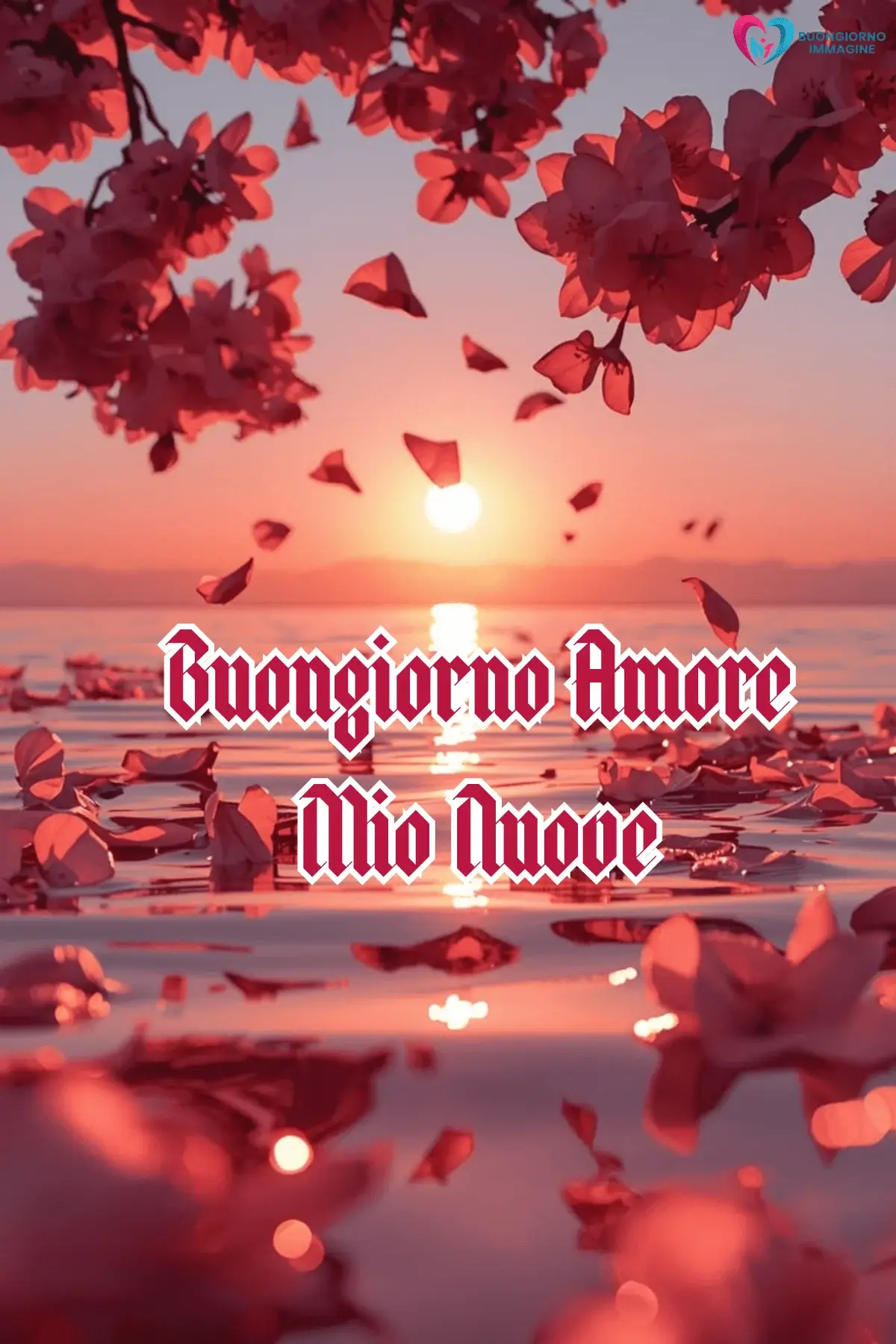 Immagini buongiorno petali rosa sul mare