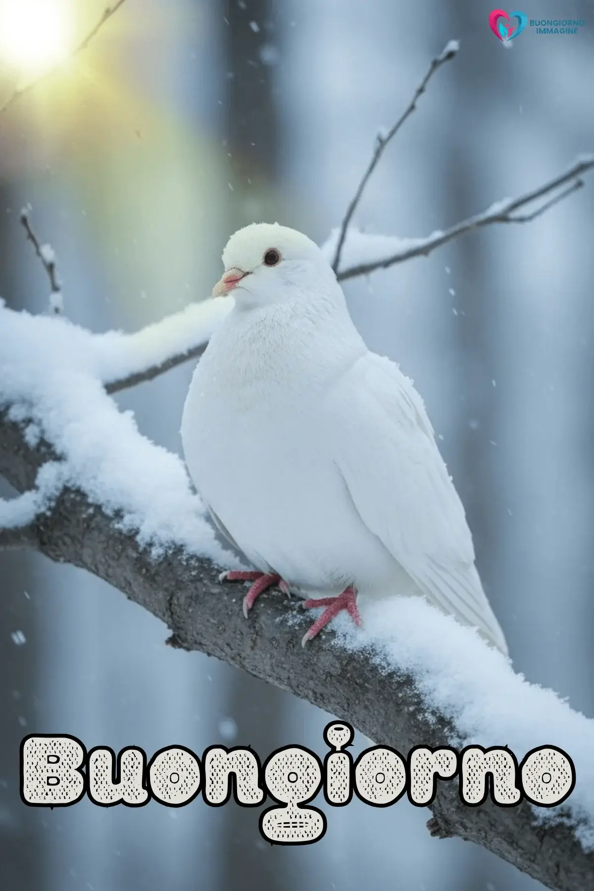 buongiorno invernale caldo con sorriso mattutino