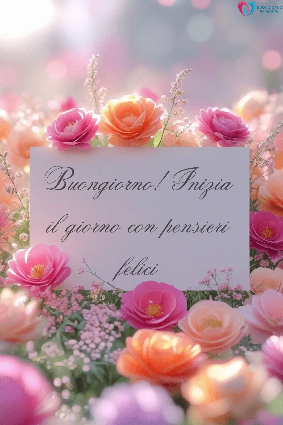 buongiorno frasi positive motivazionali con gatto assonnato e cuscini