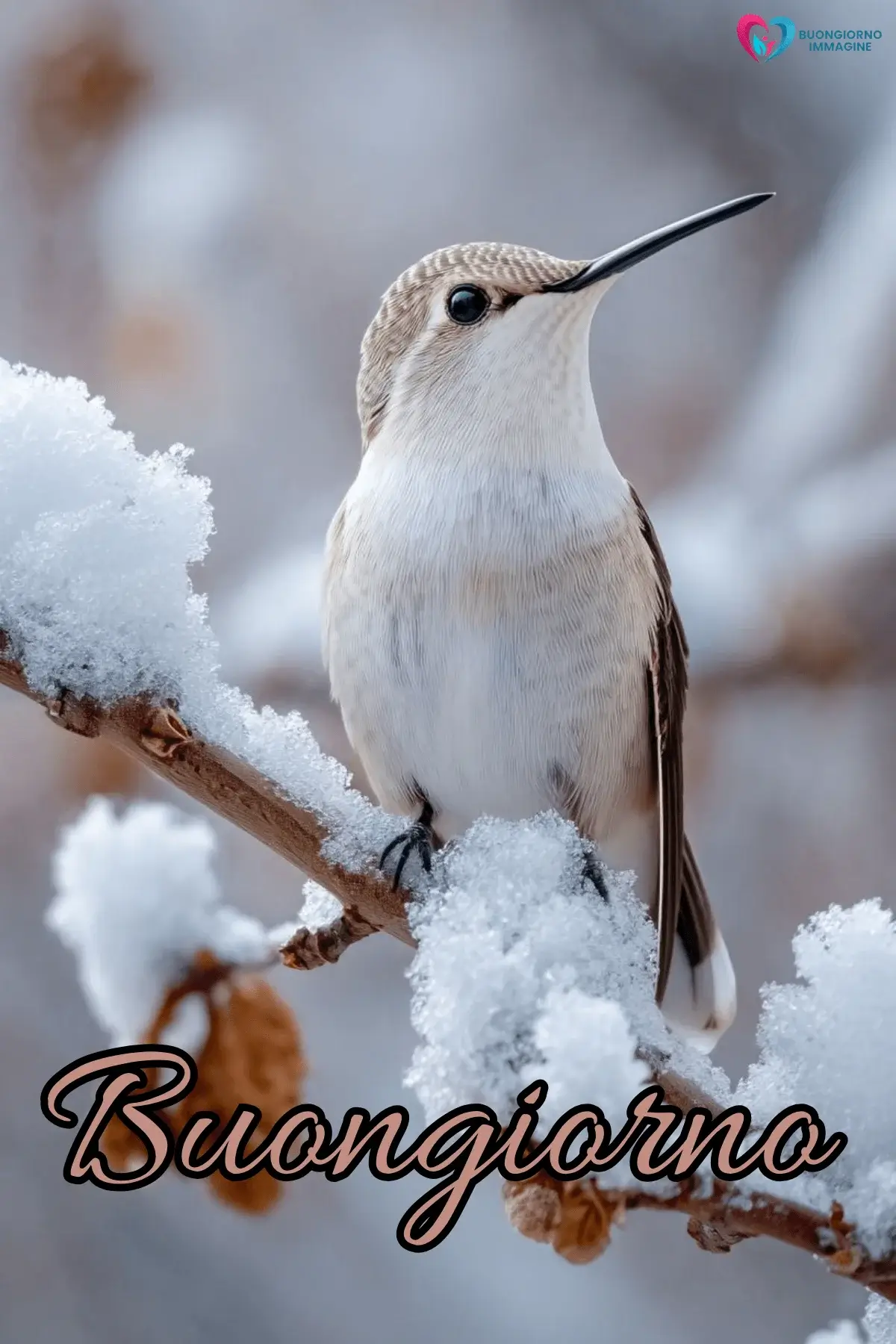 buongiorno invernale caldo con sorriso mattutino