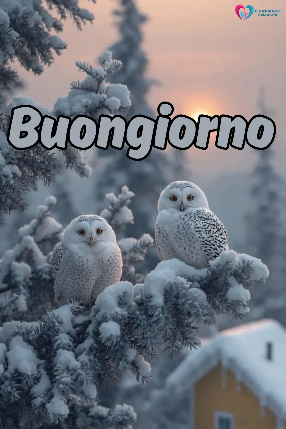 buongiorno invernale caldo con sorriso mattutino