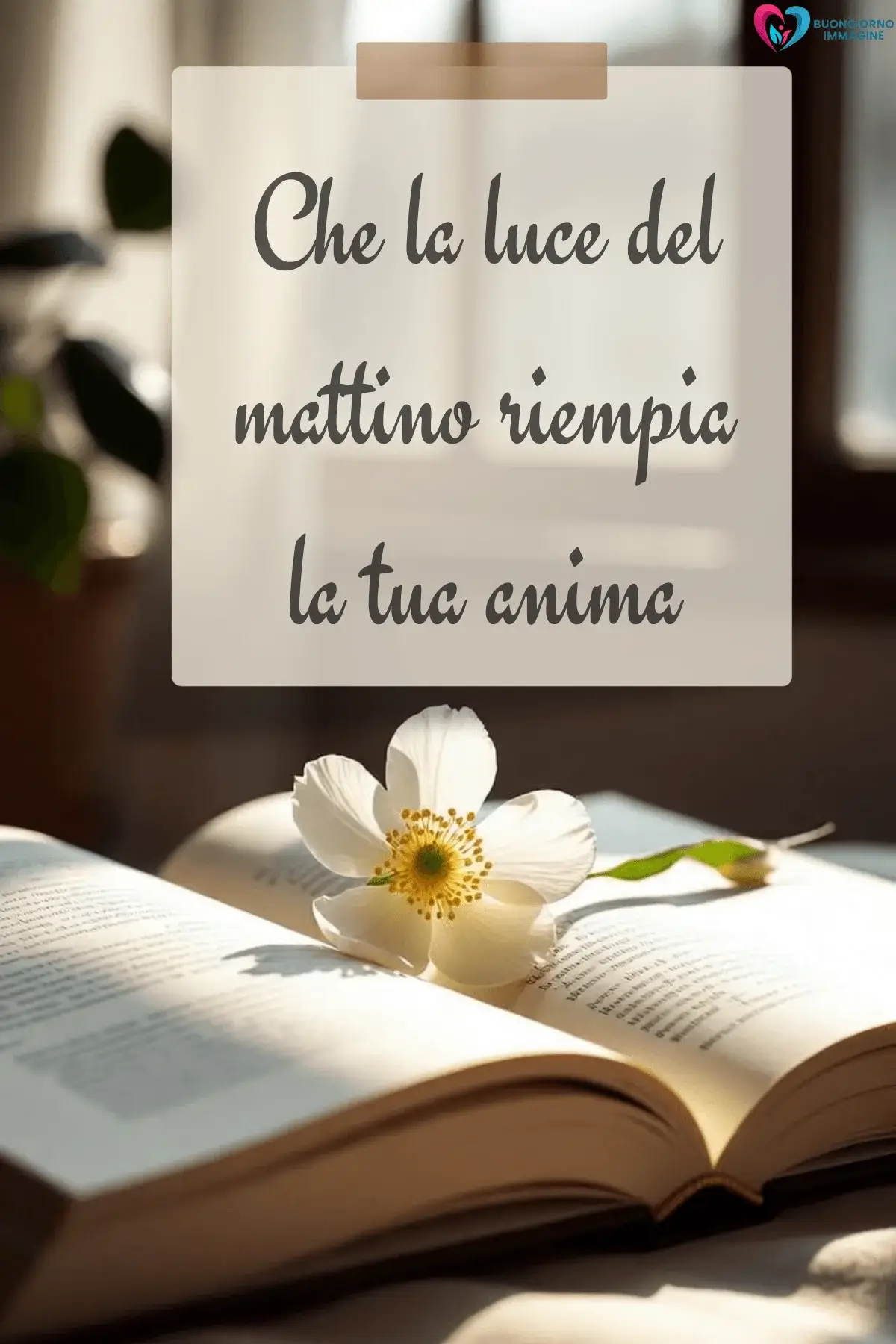 buongiorno frasi whatsapp gratis con mare e alba dorata