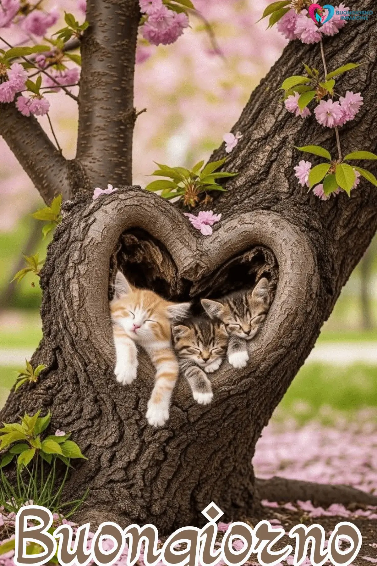 buongiorno cuore dolce con sorriso mattutino