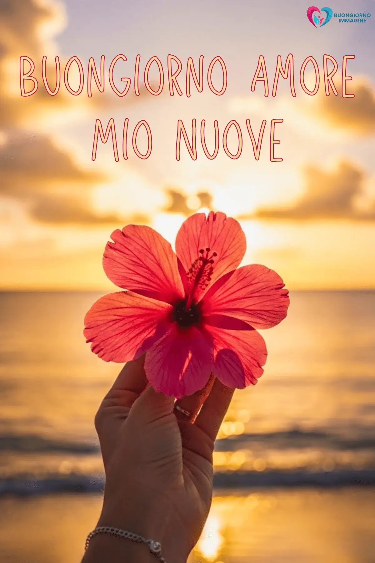 Buongiorno con fiore di ibisco in mano