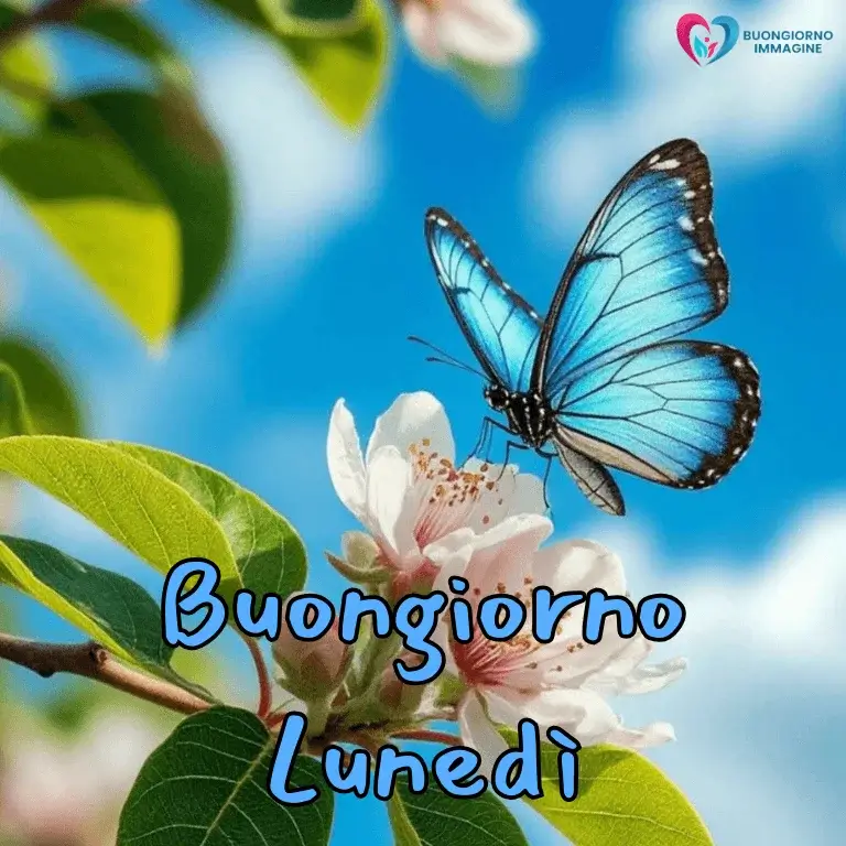 buon giorno immagini nuove con sorriso mattutino