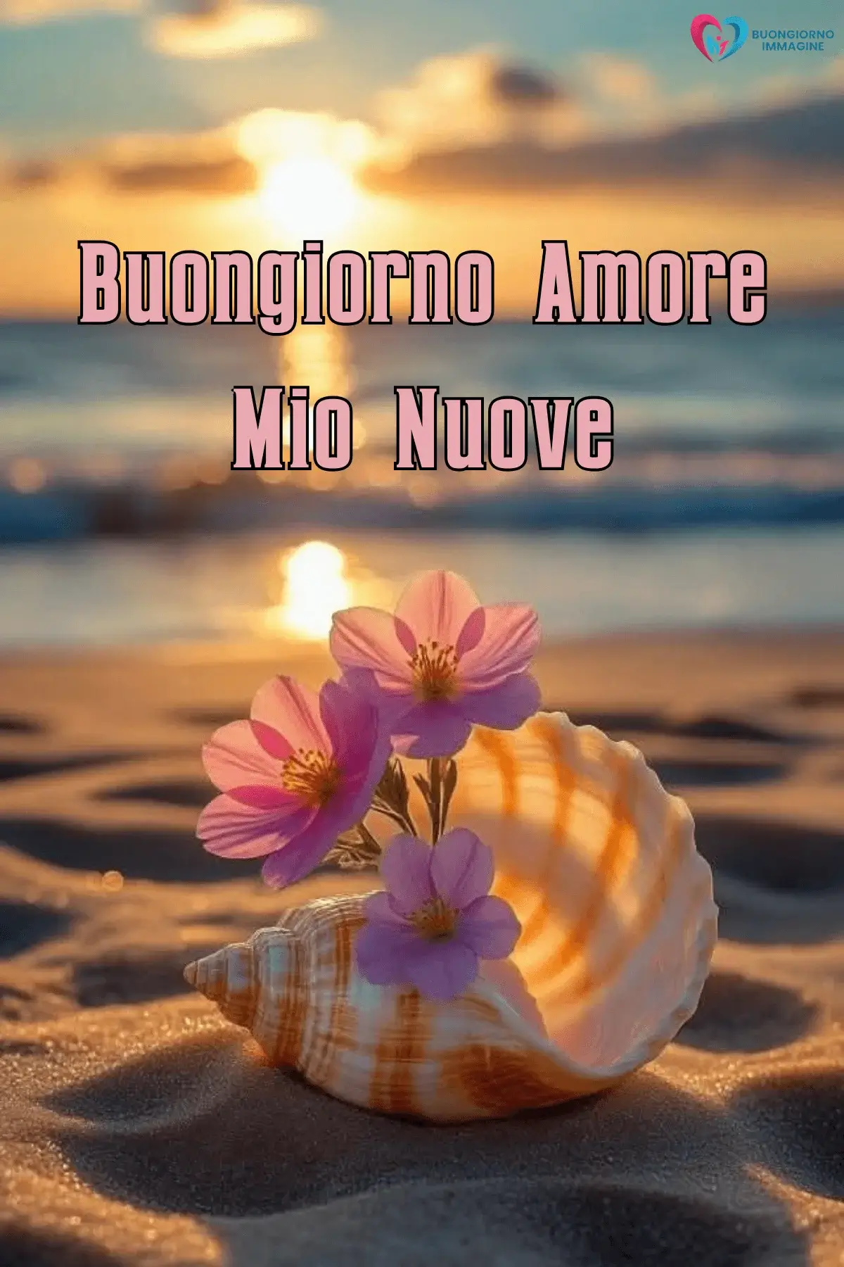 Immagini buongiorno con conchiglia e fiori