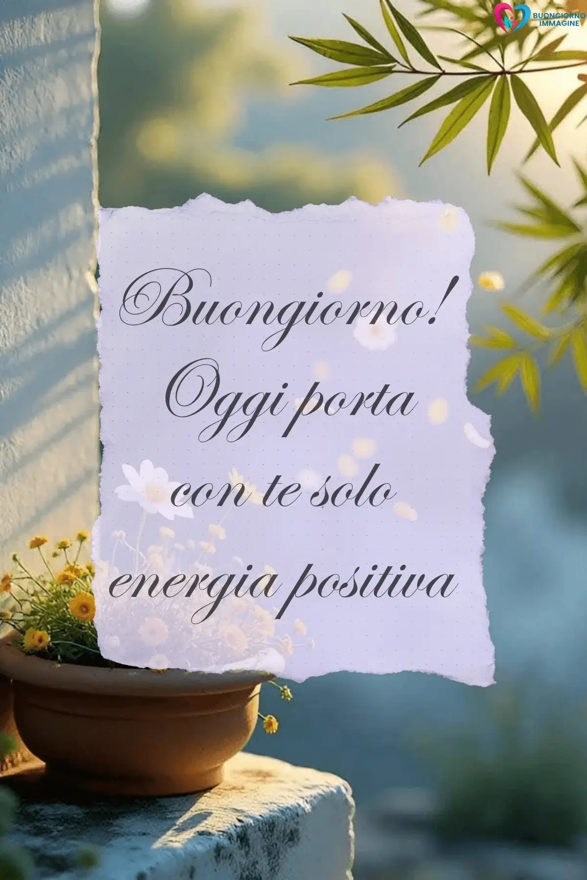 buongiorno frasi positive motivazionali con bouquet di rose fresche