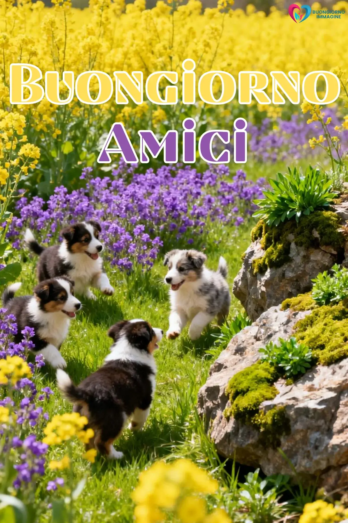 buongiorno amici divertenti con sorriso mattutino