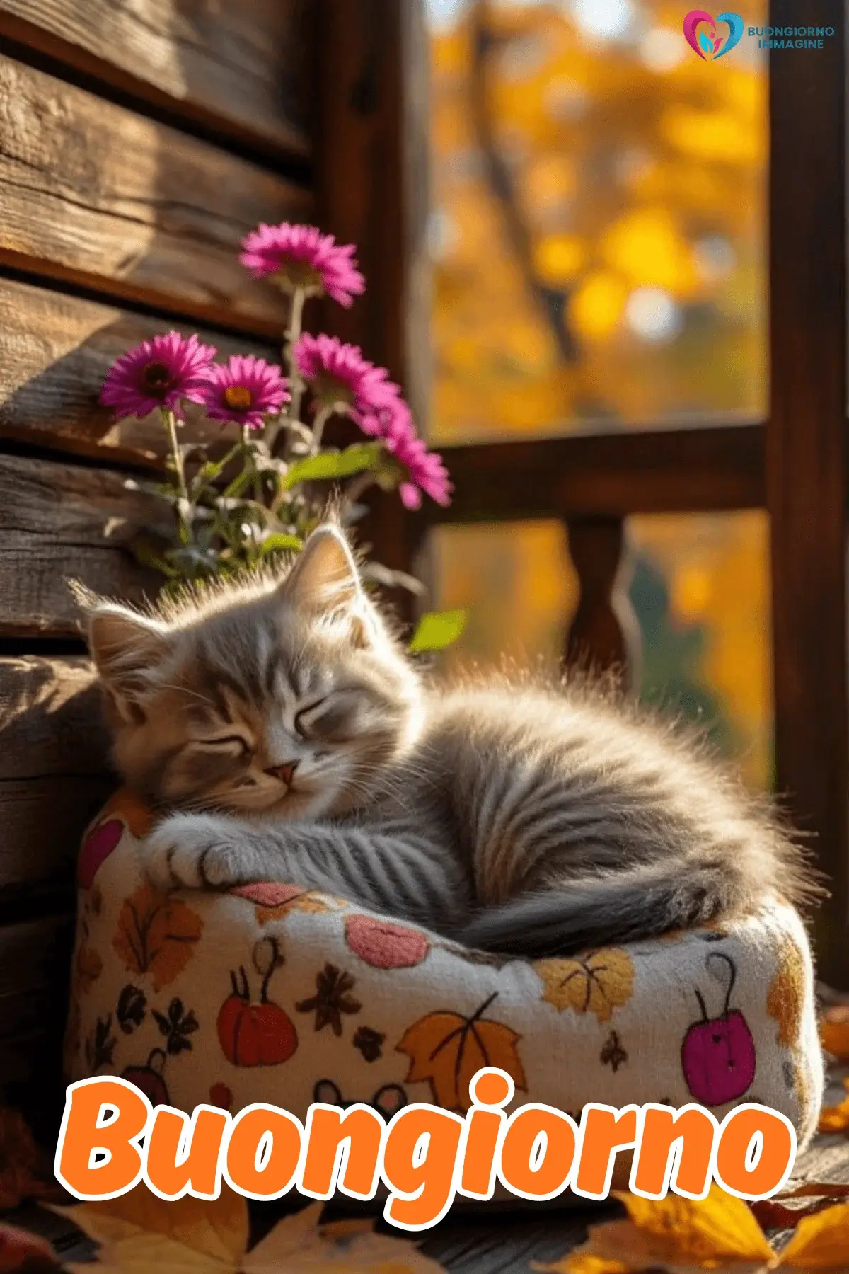 Immagini buongiorno gattino con fiori rosa