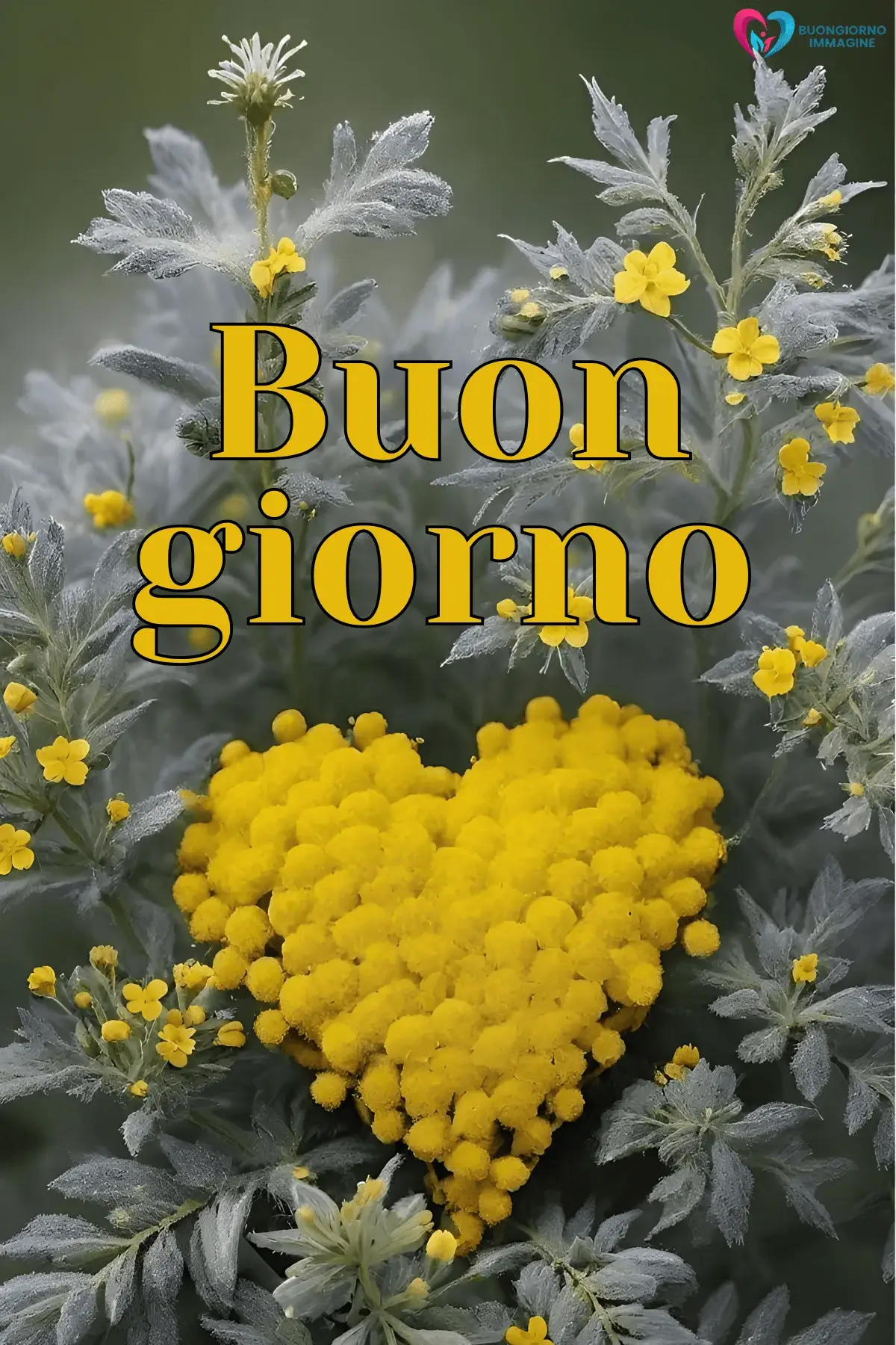 buongiorno cuore dolce con sorriso mattutino