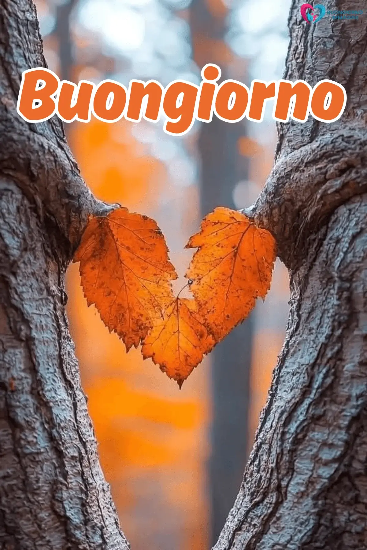 buongiorno cuore dolce con sorriso mattutino
