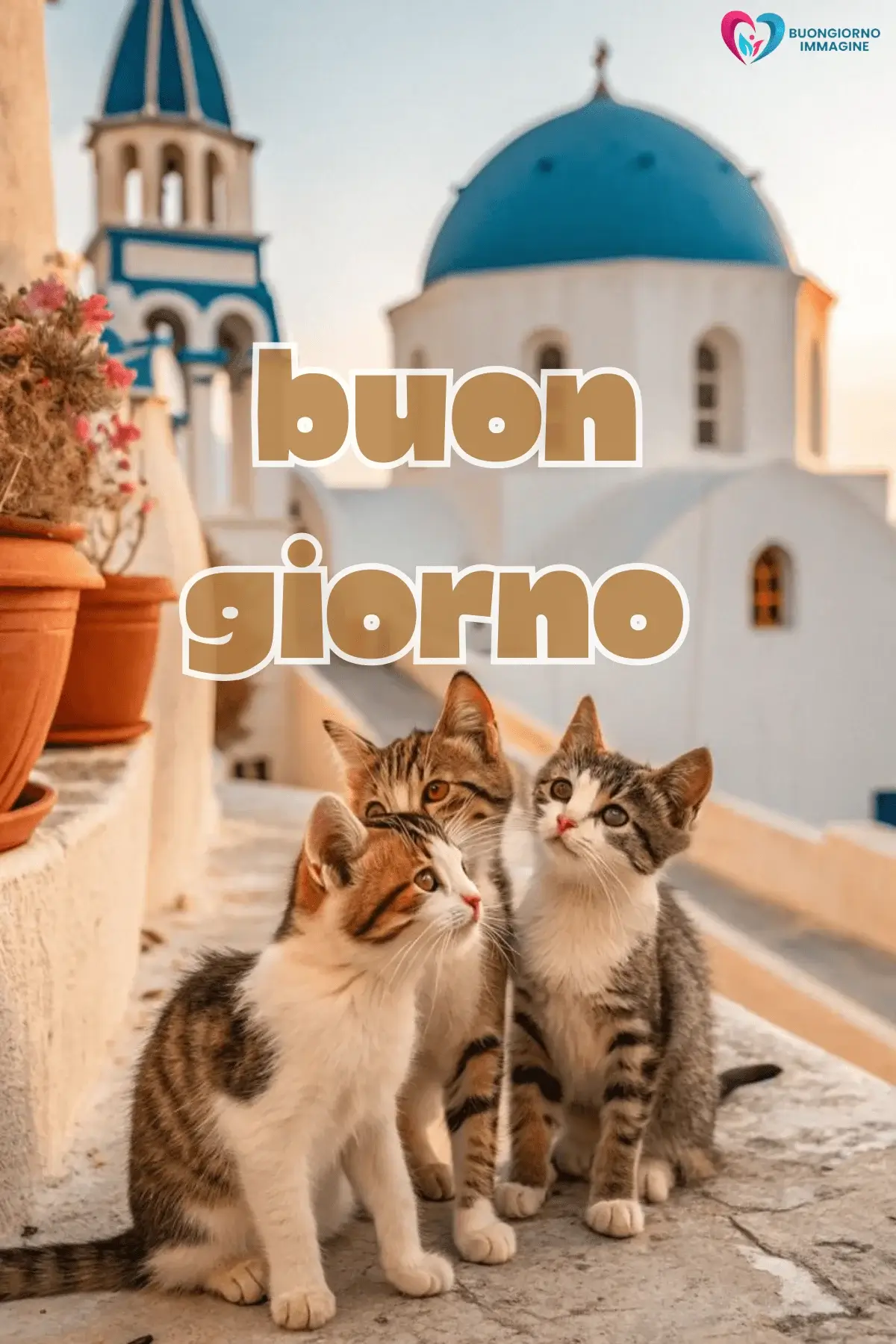 Immagini buongiorno gatti tra case greche