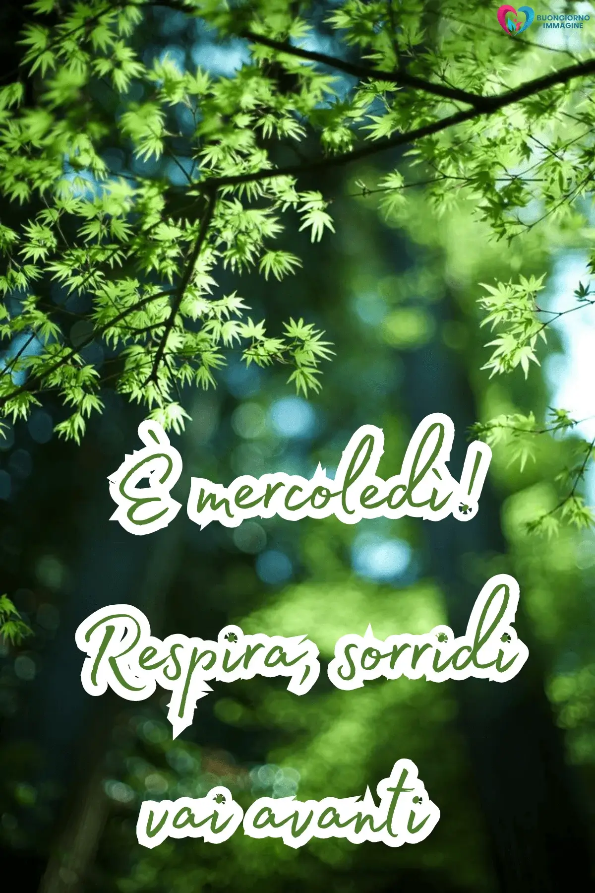 buongiorno mercoledì whatsapp gratis con giardino fiorito e farfalle