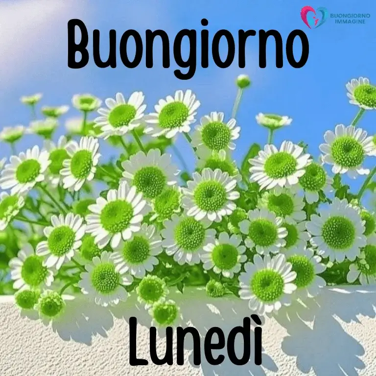buon giorno immagini nuove con sorriso mattutino