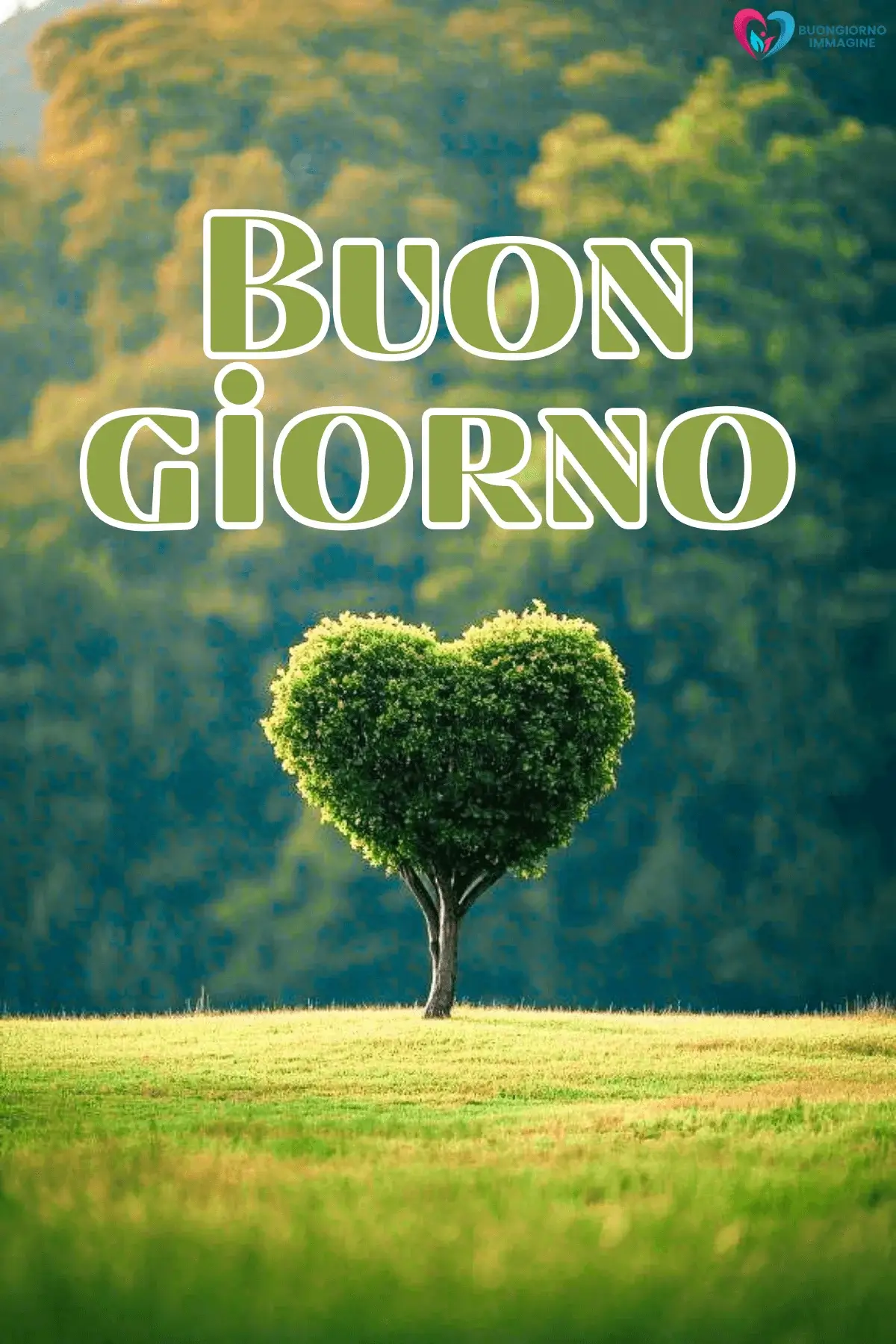 buongiorno cuore dolce con sorriso mattutino