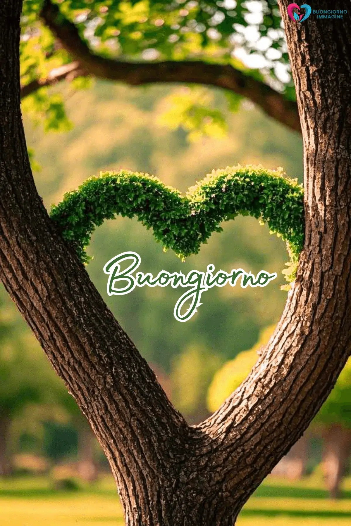 buongiorno cuore mozzafiato 'albero verde