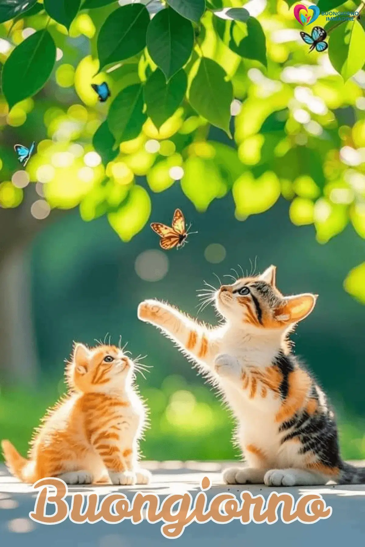 Immagini buongiorno con gattini che giocano