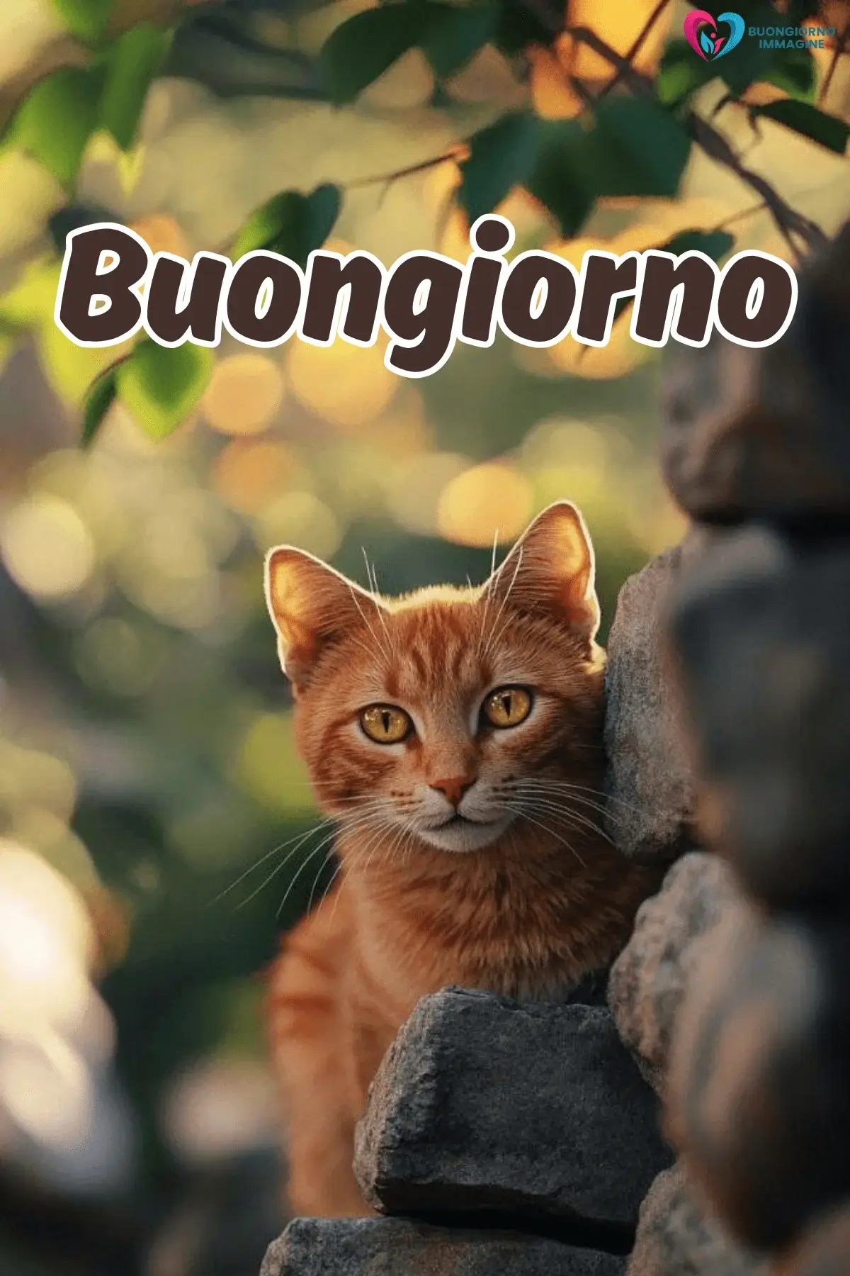 Buongiorno con gatto rosso tra foglie verdi