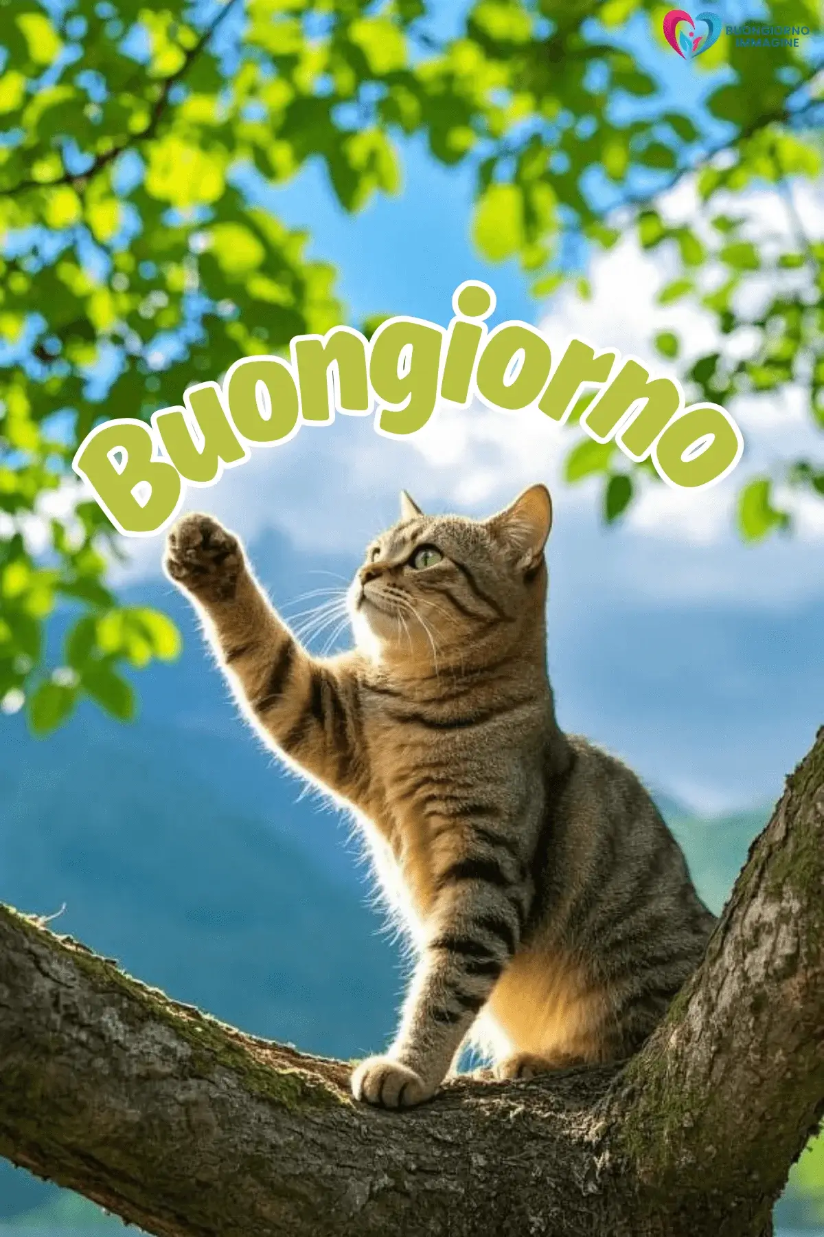 Buongiorno con gatto su ramo d'albero