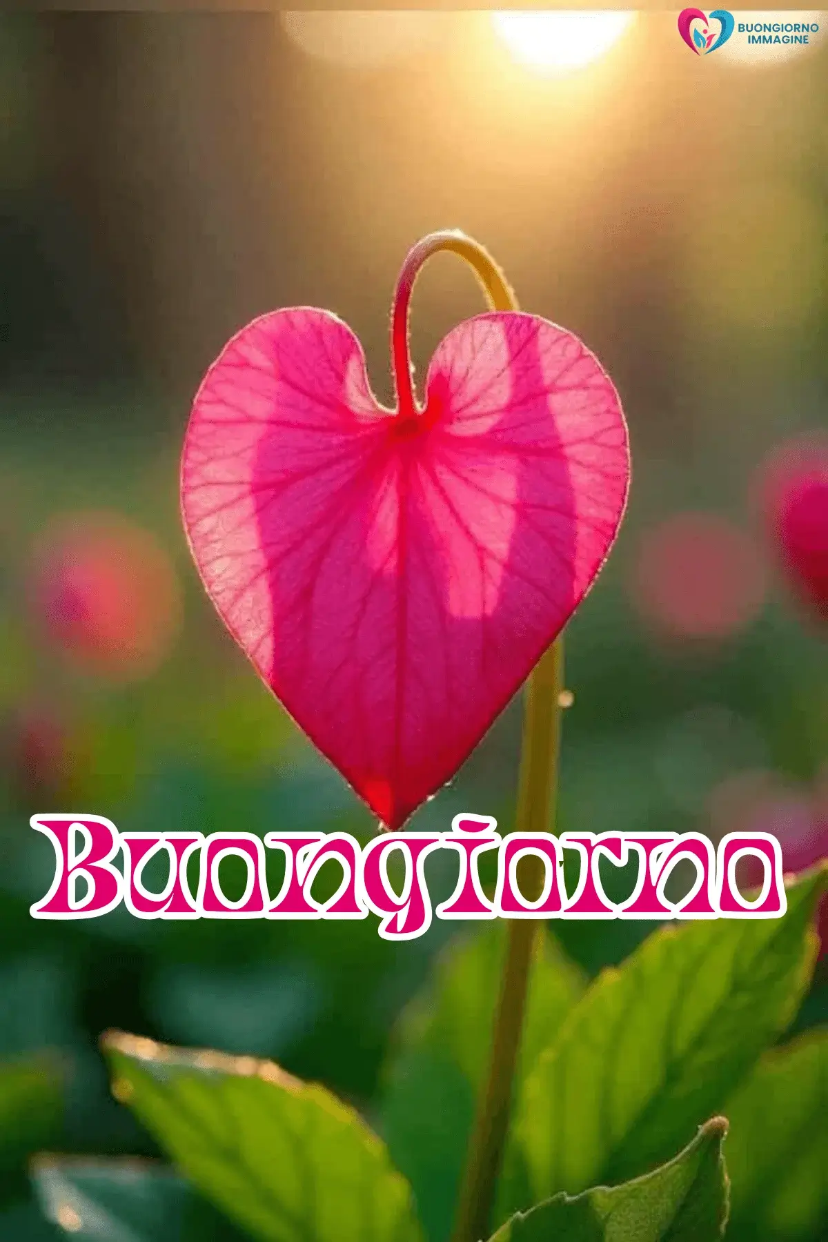 buongiorno cuore mozzafiato con sorriso mattutino