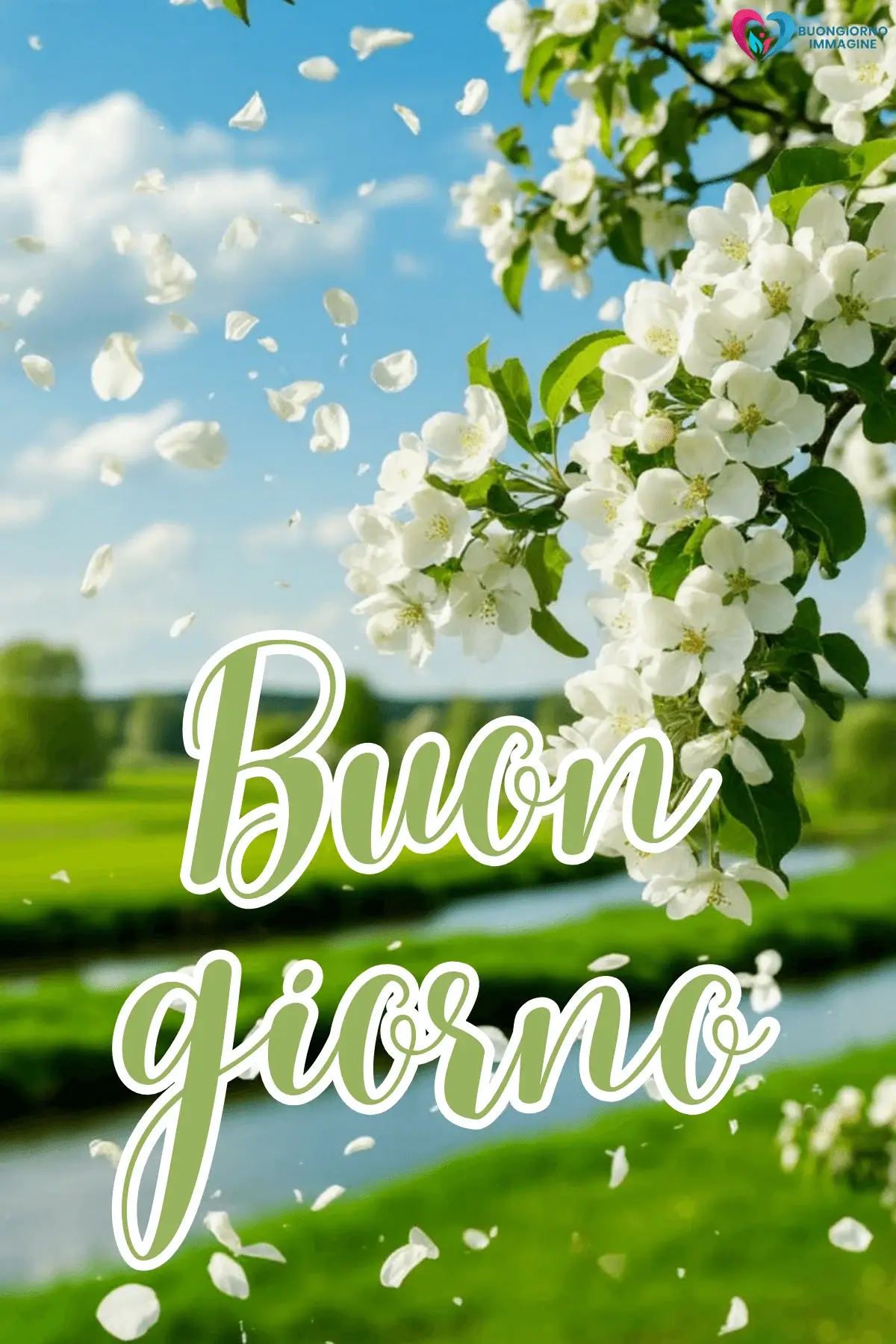 Buongiorno con Fiori Bellissimi