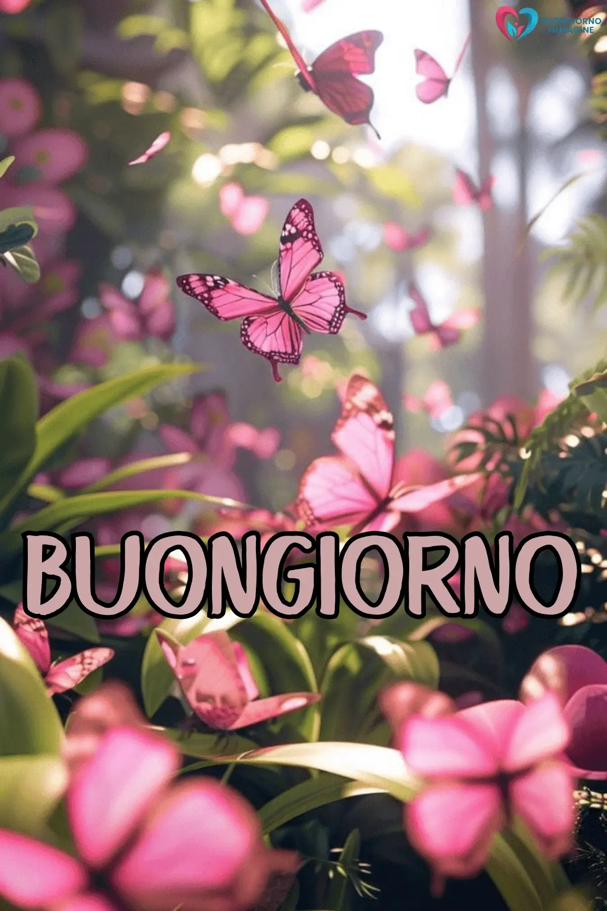 Immagini Buongiorno di Fiori Naturali