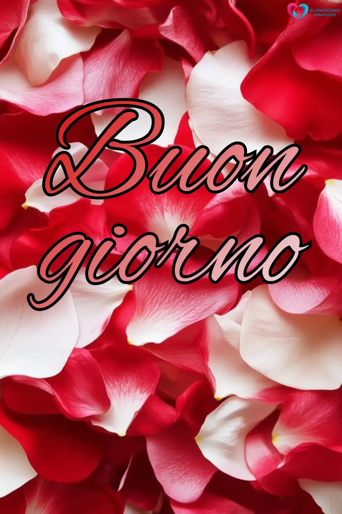 immagini buongiorno divertenti con bouquet di rose fresche
