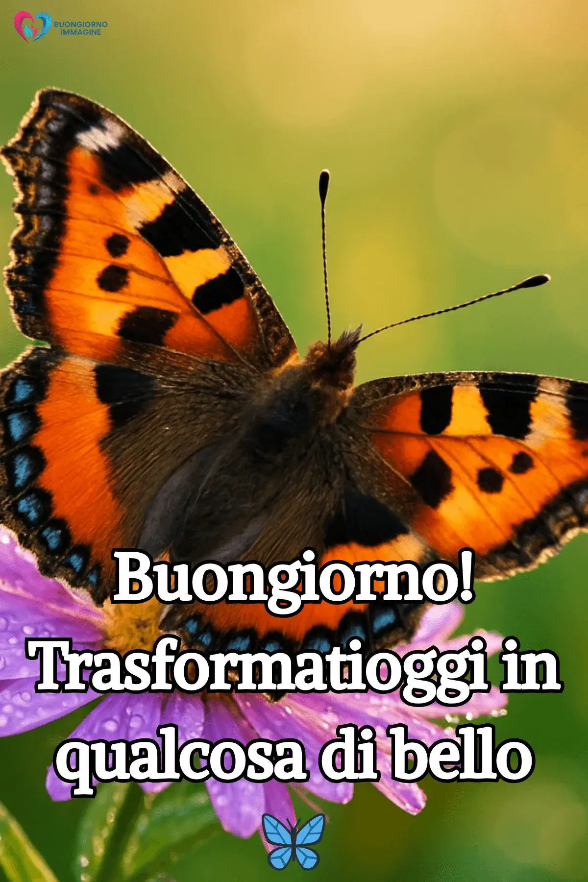 buon giorno motivazionale con citazioni ispiratrici