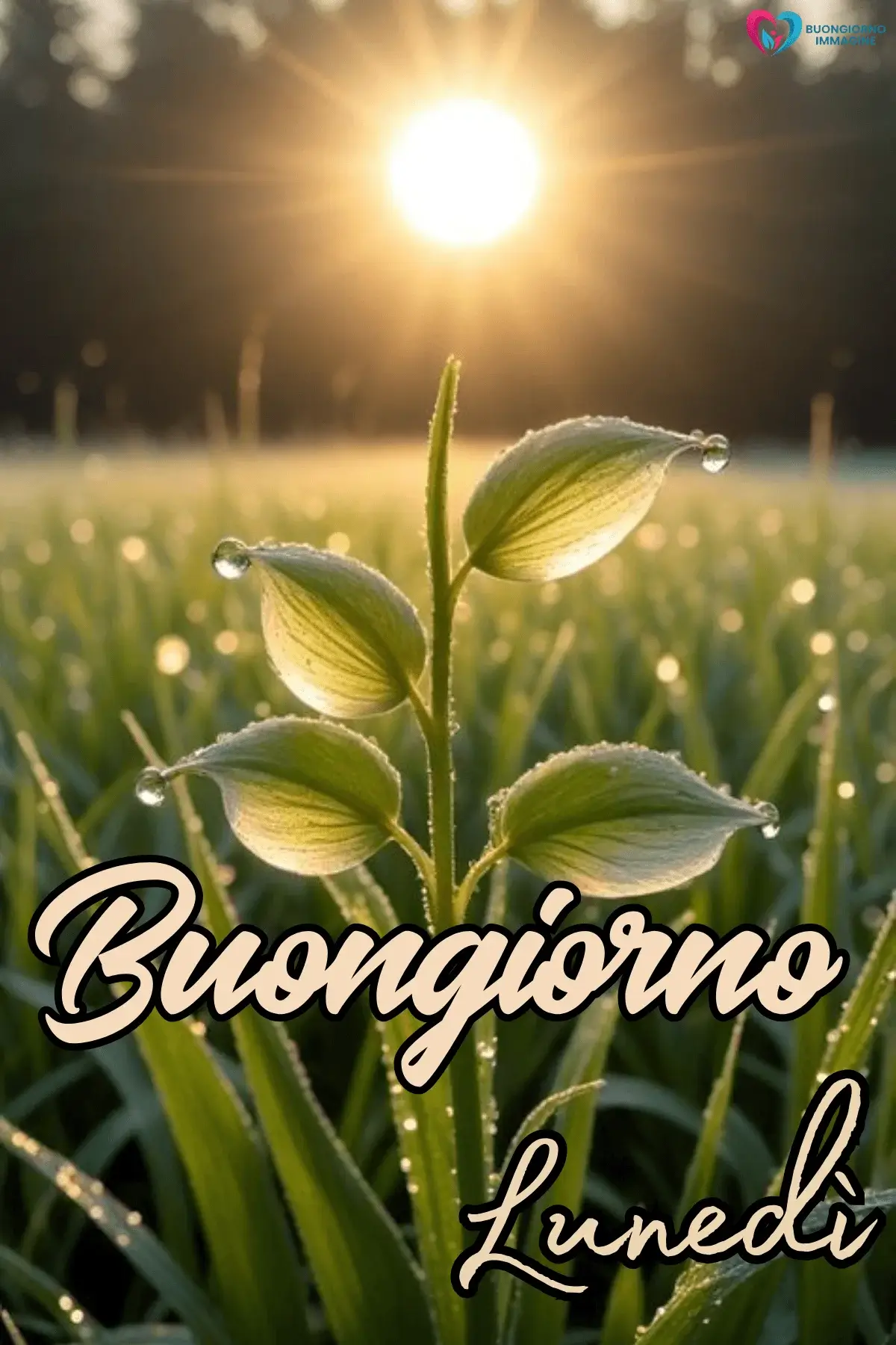 buon lunedì buongiorno amore e pace