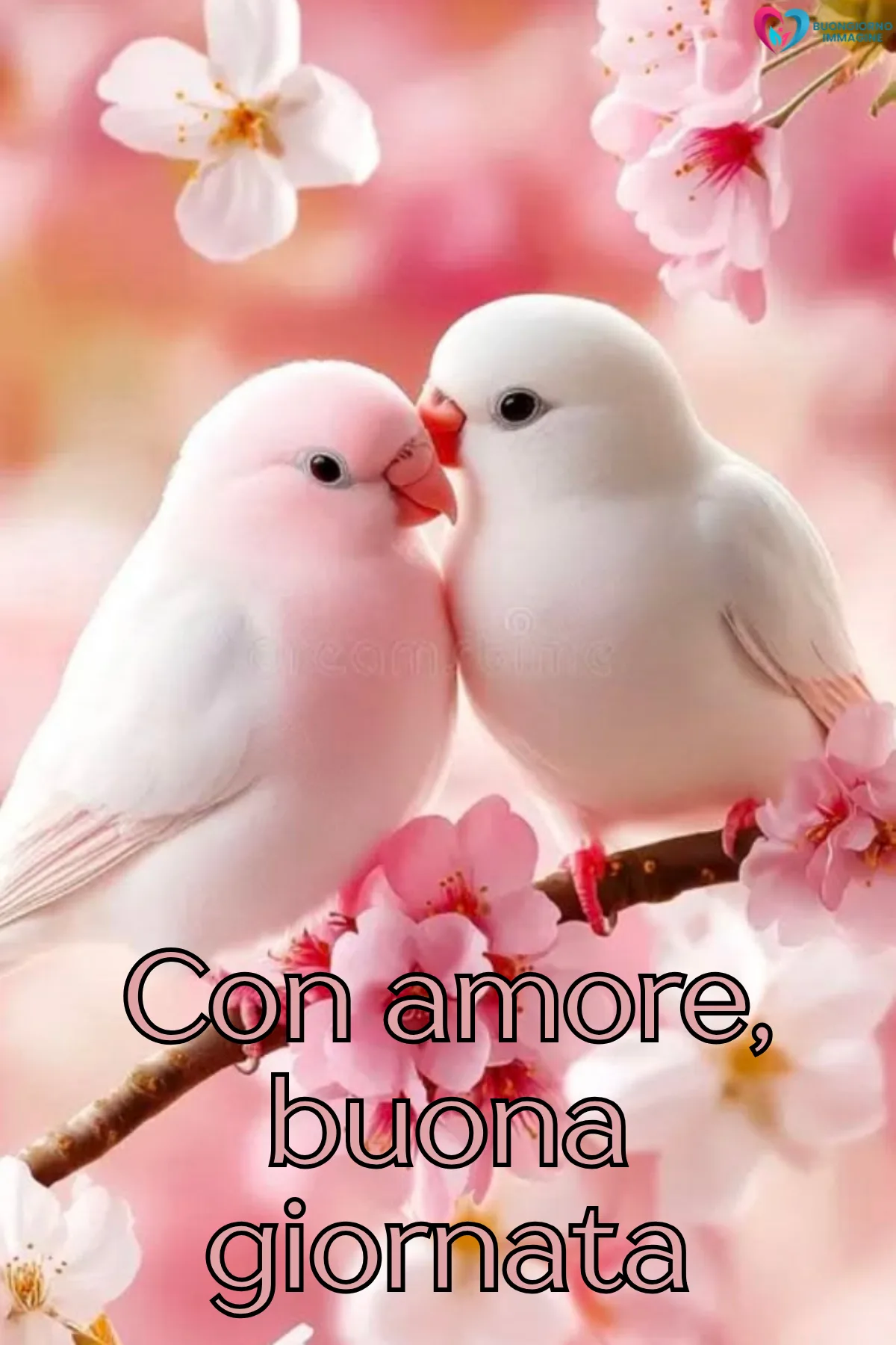 buona giornata immagini bellissime con gatto assonnato e cuscini