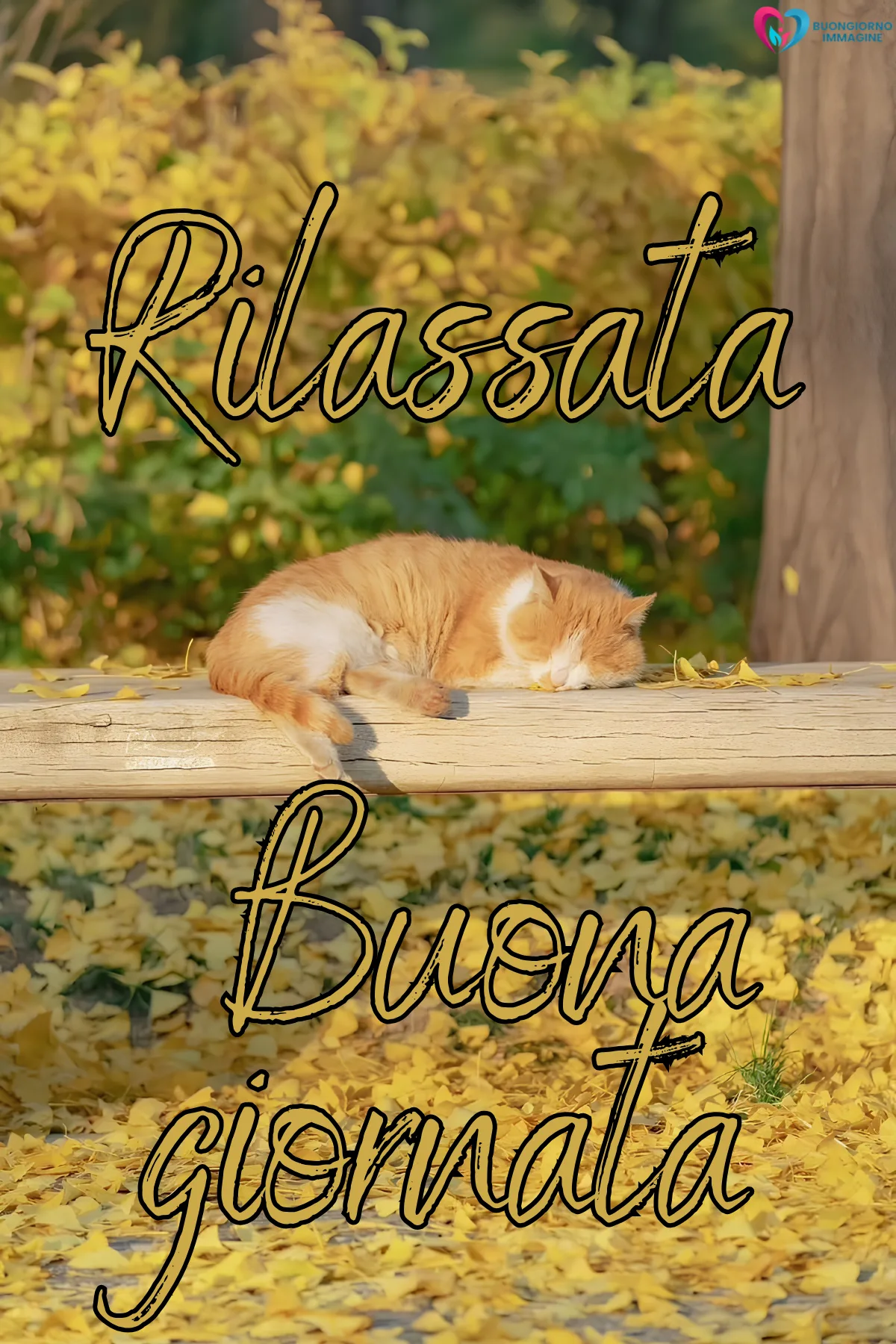 buongiorno buona giornata immagini con bouquet di rose fresche