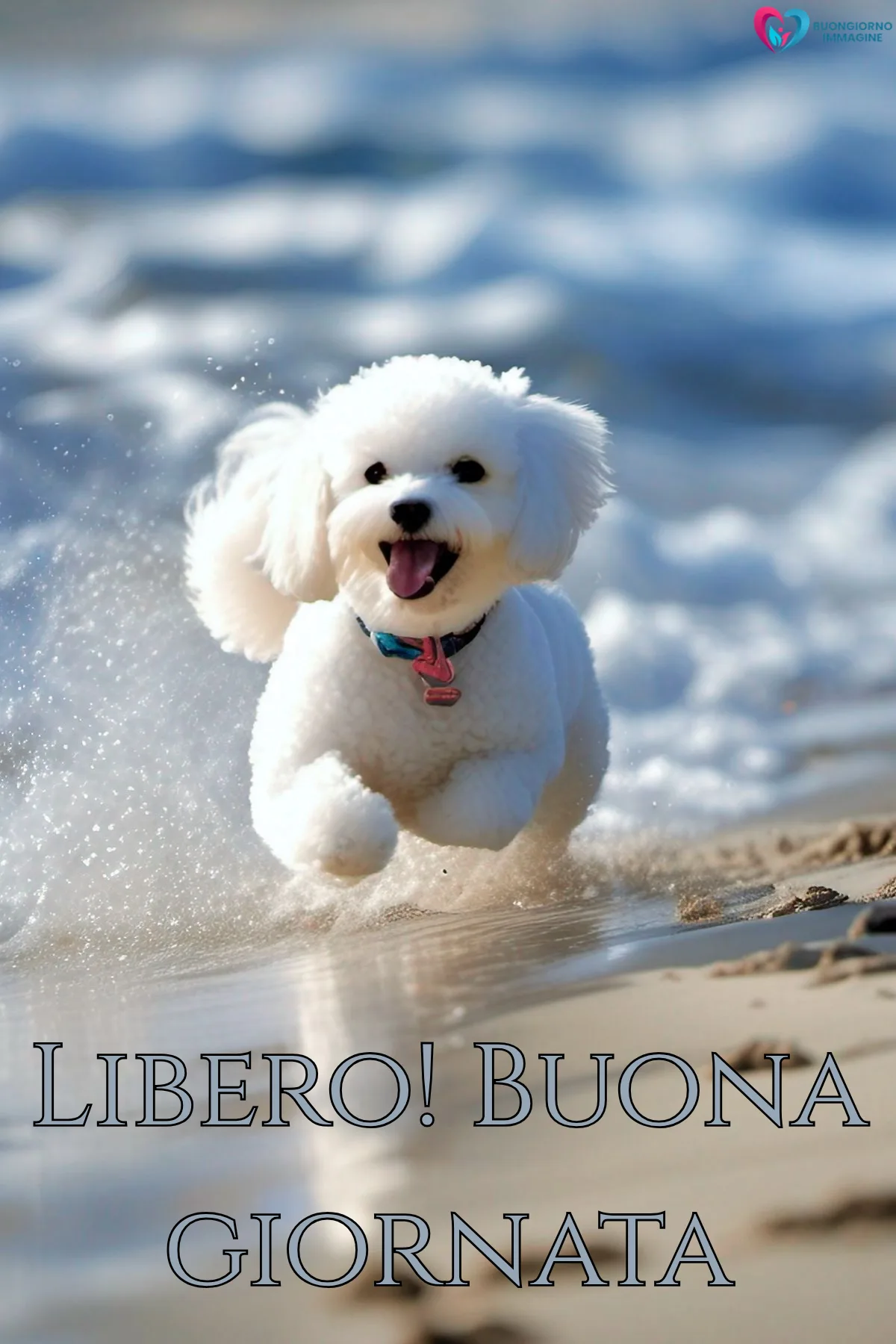 buona giornata divertente simpatica con finestra aperta e luce calda