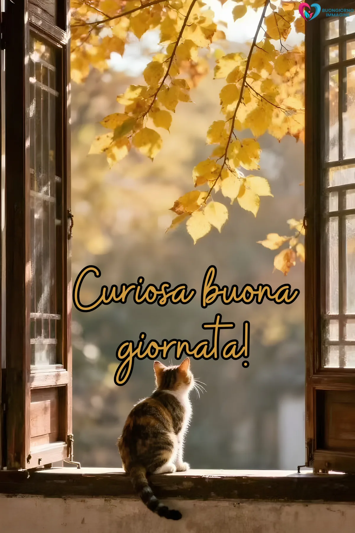 immagini buona giornata con paesaggio luminoso del mattino