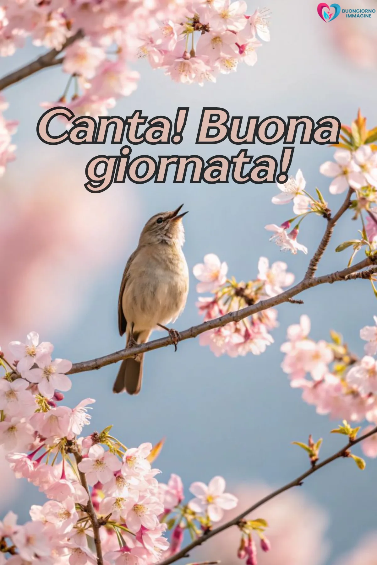 buona giornata divertente simpatica con mare e alba dorata