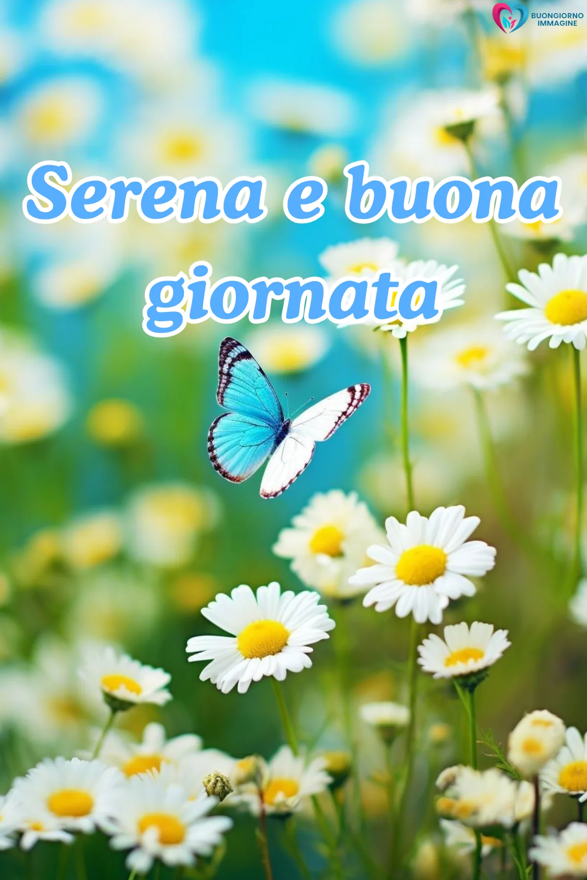 immagini buona giornata con terrazza e colazione italiana
