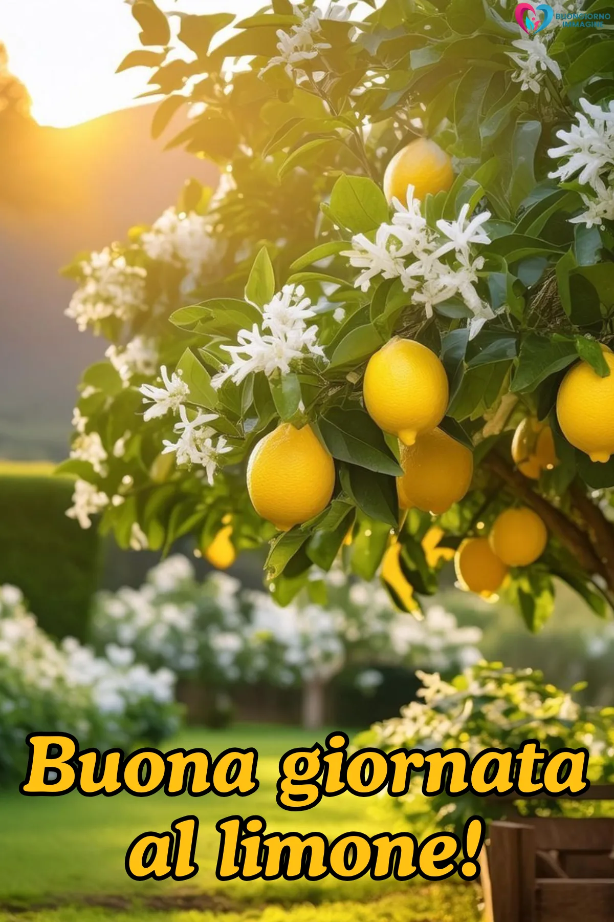 buona giornata immagini bellissime con tazza cappuccino e croissant