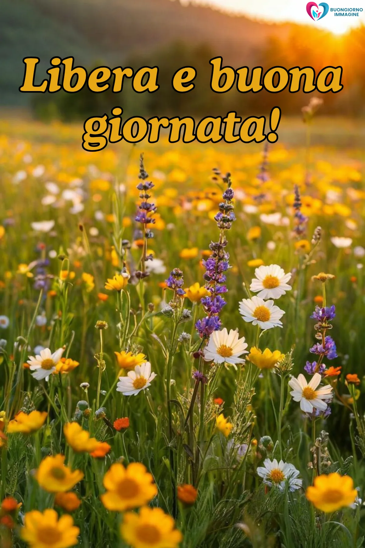 buona giornata divertente simpatica con bouquet di rose fresche