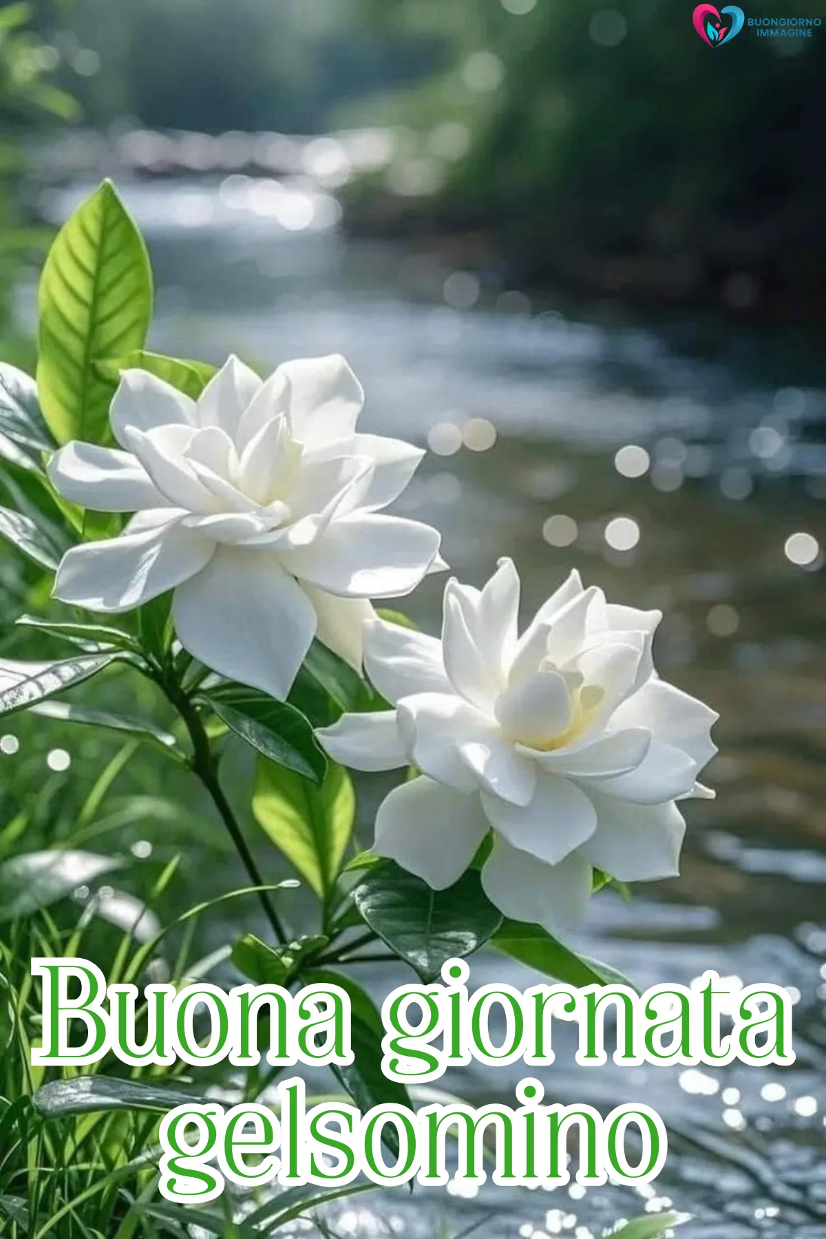 buona giornata immagini nuove con cielo azzurro e nuvole rosa