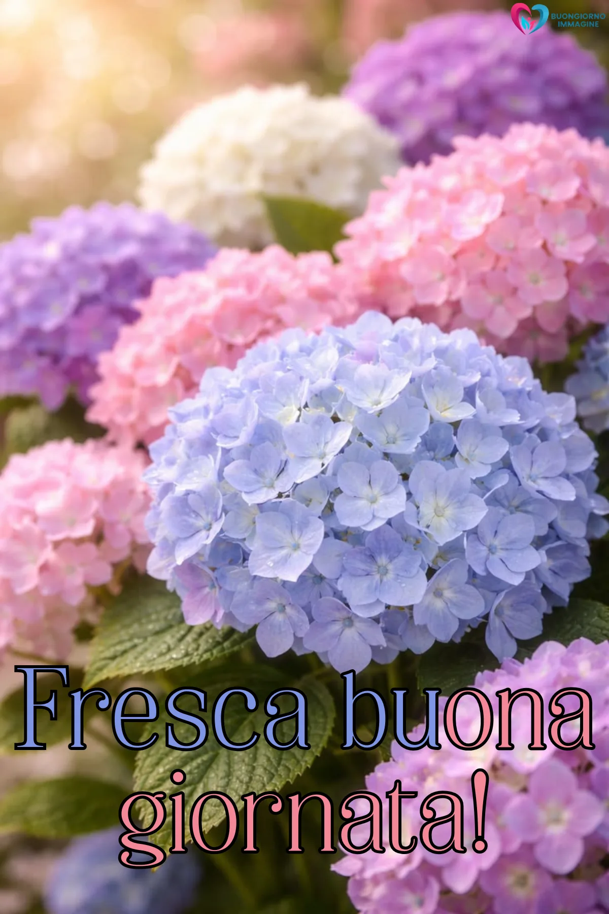 buona giornata immagini bellissime con giardino fiorito e farfalle